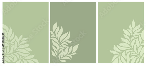 Set of abstract foliage poster vector. Leaves, organic shapes, earth tone colors, leaf branch. Illustration design for Eco packaging, interior, cover, wall art, market.