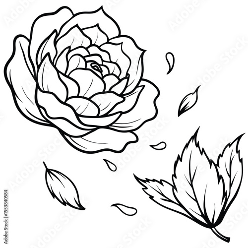 Delicate single peony petal gently falling in a soft breeze isolated on white background isolated on transparent background