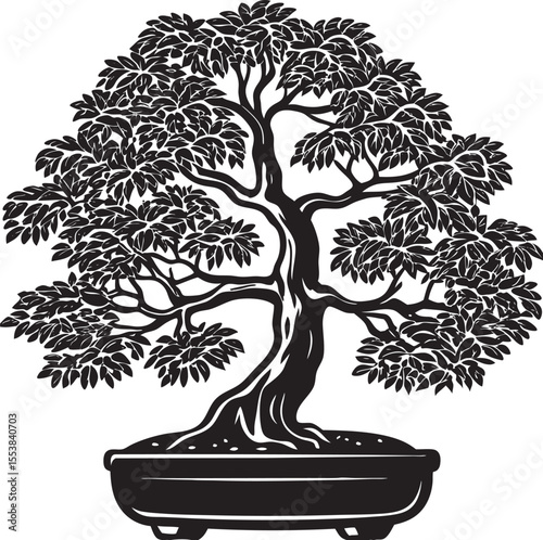 Stylized black and white illustration of a mature bonsai tree in a pot