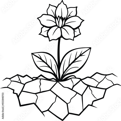 Delicate violet flower bravely growing through cracked stone symbolizing resilience and new life isolated on white background isolated on transparent background