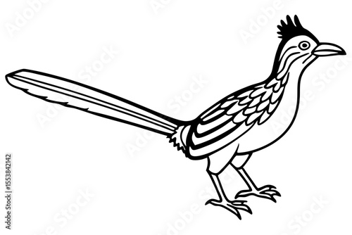 Roadrunner Bird Minimalist Design on White Background