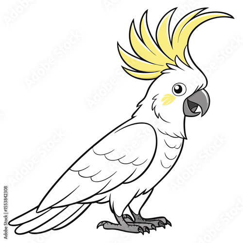 Colorful Cockatoo Bird Illustration on Clean Background