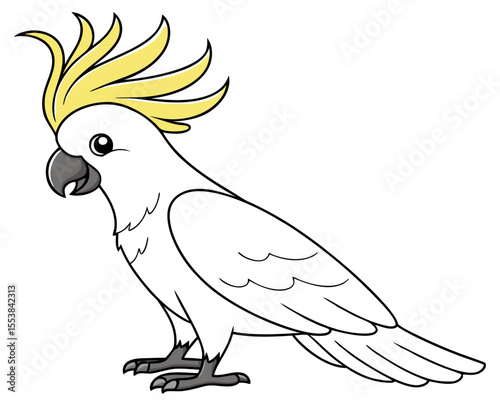 Cockatoo Bird Vector Illustration on White Background
