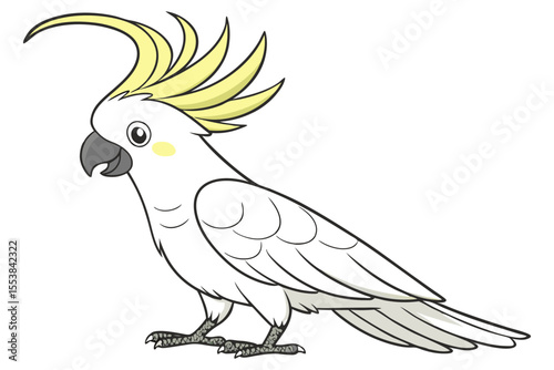 Cockatoo on White Background Illustration