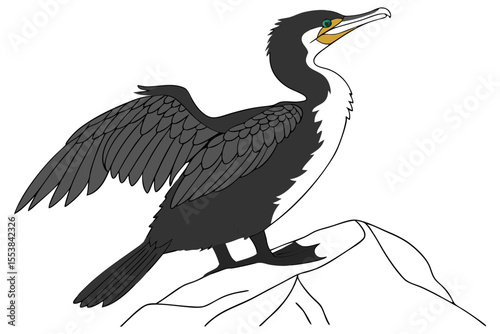 Cormorant on White Background Illustration