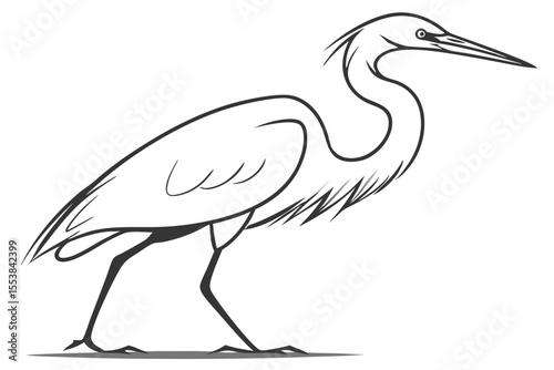 Minimalist Egret Bird Illustration