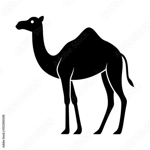 camel vector illustration