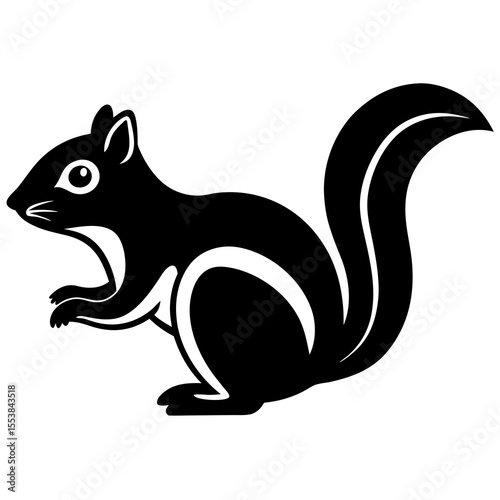 squirrel on a white background