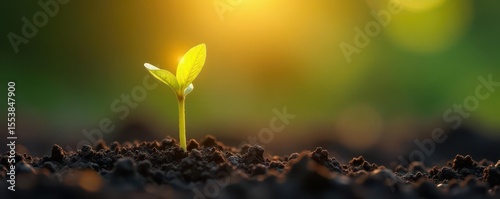 Glowing sprout bursts forth from fertile soil, radiating warm gentle light , soil, radiant