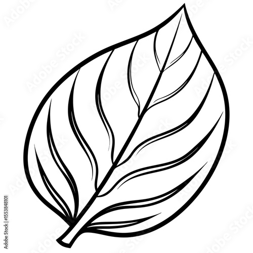 Minimal Leaf Silhouette Vector