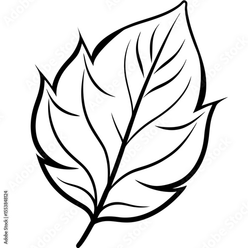 Minimal Leaf Silhouette Vector