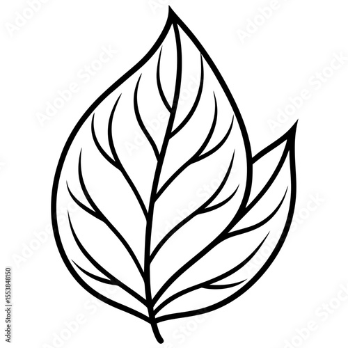 Minimal Leaf Silhouette Vector