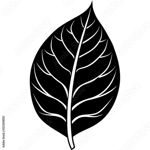 Minimal Leaf Silhouette Vector