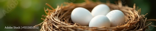 Five pristine white eggs nestled in a straw-lined bird's nest , close up, cooking, texture