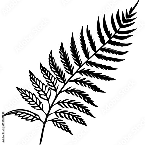 Minimal Fern Leaf Vector Illustration