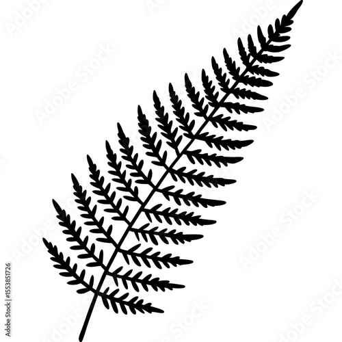 Minimal Fern Leaf Vector Illustration