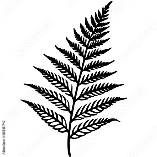Minimal Fern Leaf Vector Illustration