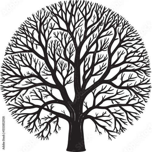 Stylized black silhouette of a large deciduous tree with intricate branches against a white background