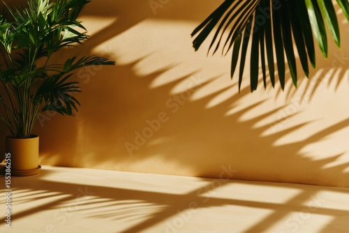 Bright Sunlight Casts Shadows From Palm Leaves on a Warm-Toned Wall and Floor...