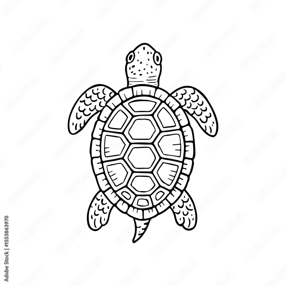 Fototapeta premium Black and white hand drawn vector illustration of a sea Turtle. The Turtle has a detailed shell with geometric shapes and textured flippers