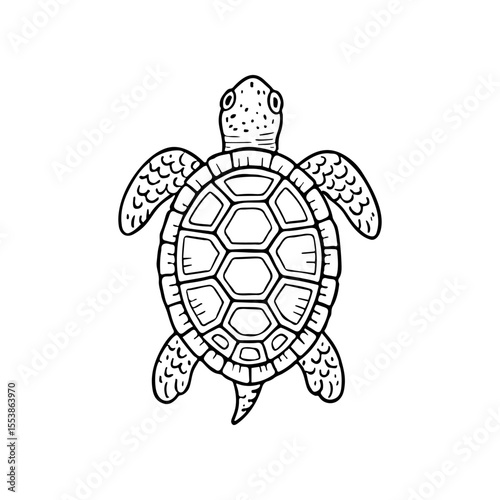 Black and white hand drawn vector illustration of a sea Turtle. The Turtle has a detailed shell with geometric shapes and textured flippers