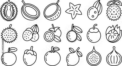 Outline illustrations of exotic tropical fruits in black and white for dietary designs