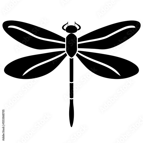 dragonfly on white background