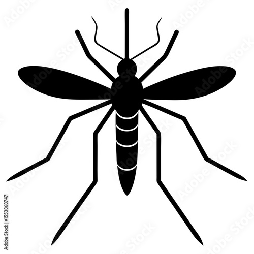 mosquito isolated on white background