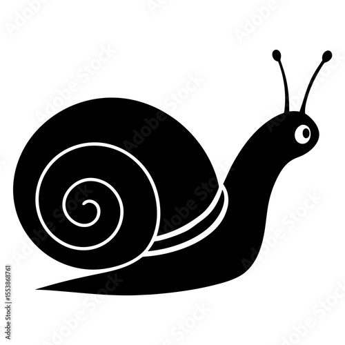 snail on a white