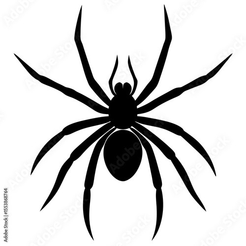 spider on a white background