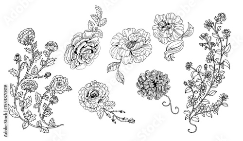 lineart floral clipart set