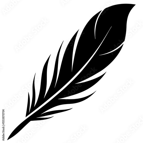 vector illustration of feather