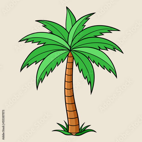 Hand-drawn palm tree illustration