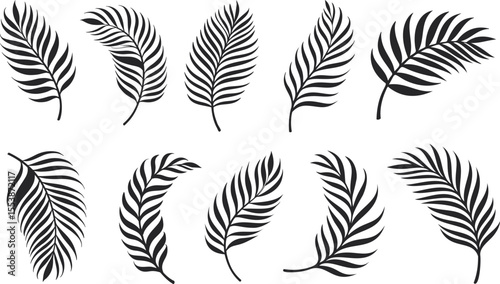 Hand drawn black tropical palm leaves in silhouette style.
