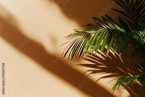 Bright Sunlight Casts Shadows From Palm Leaves on a Warm-Toned Wall and Floor...