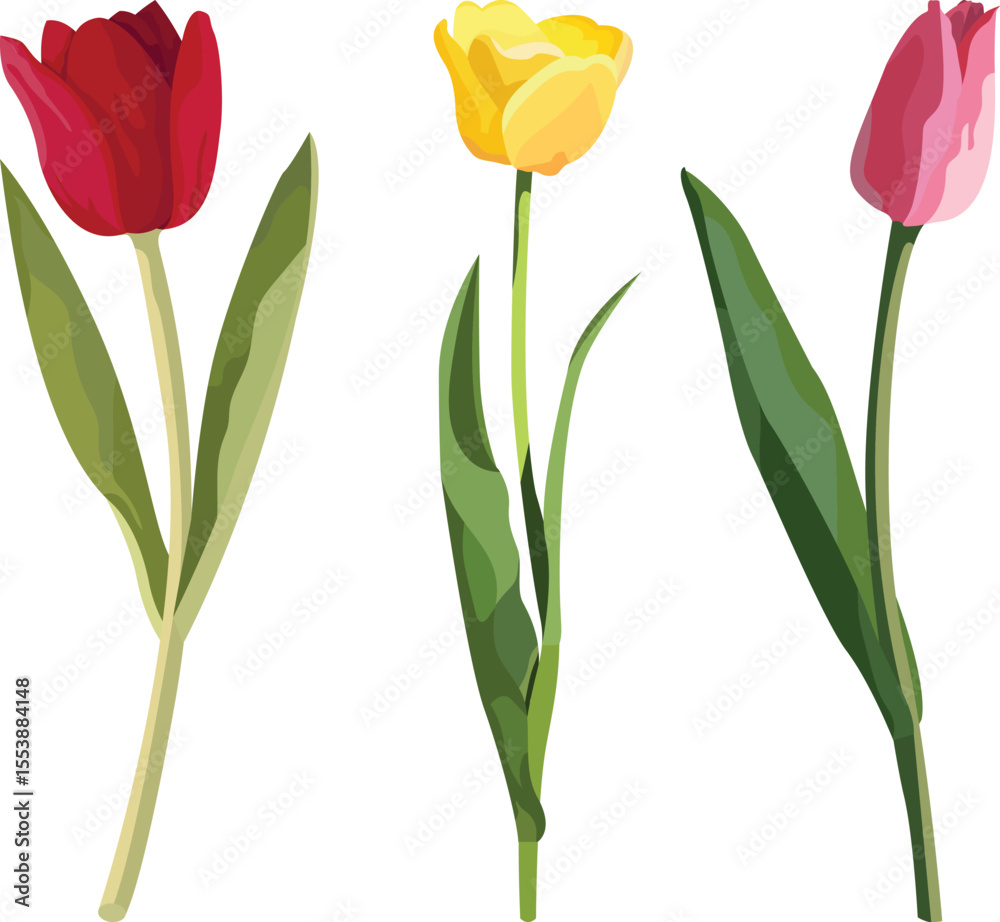 Obraz premium tulip test