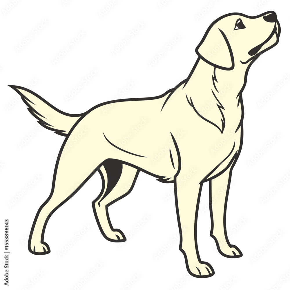 Fototapeta premium White Labrador Dog - Loyal Pet Illustration