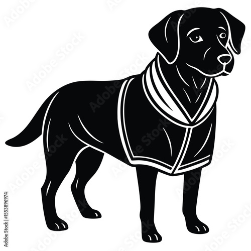 Black Labrador in Coat - Stylized Dog Illustration