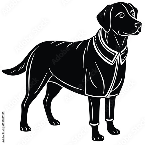 Black Labrador in Coat - Stylized Dog Illustration