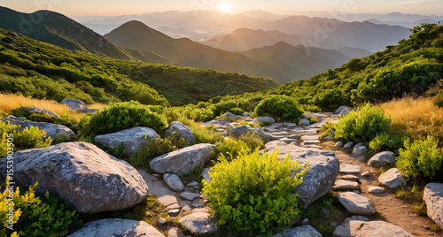 mountain landscape in the morning