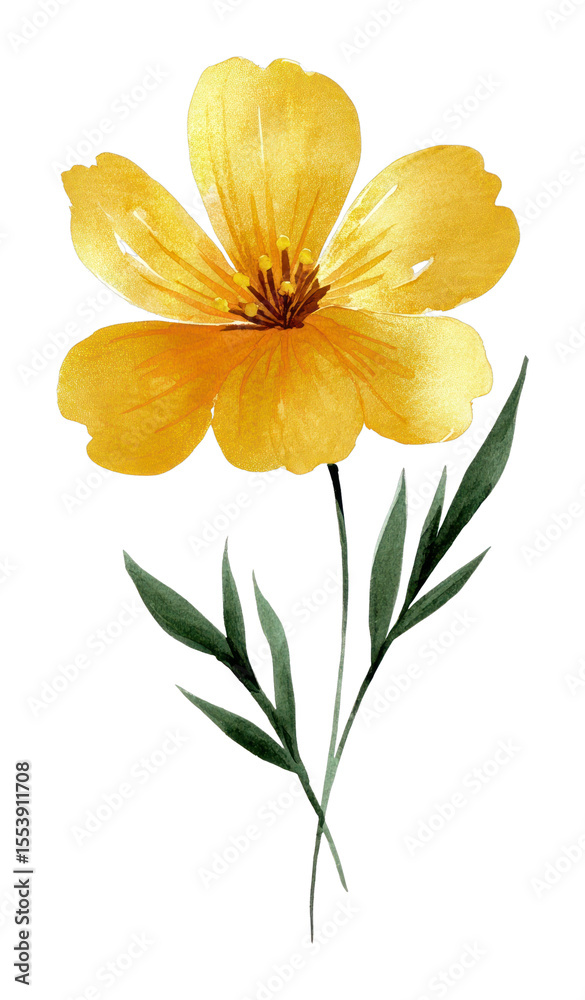 Obraz premium PNG A colorfull and gold wildflower illustration watercolor design.