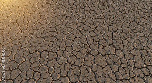 High-angle view of cracked earth, arid landscape, drought texture, warm sunset light, environmental concern.
