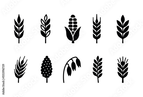 Agriculture, farming silhouette icon set. crop, harvest, grain silhouettes collection