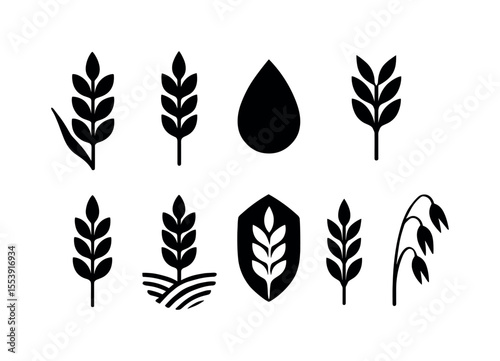 Pest control solid icon set. infestation, prevention, solution icons solid collection