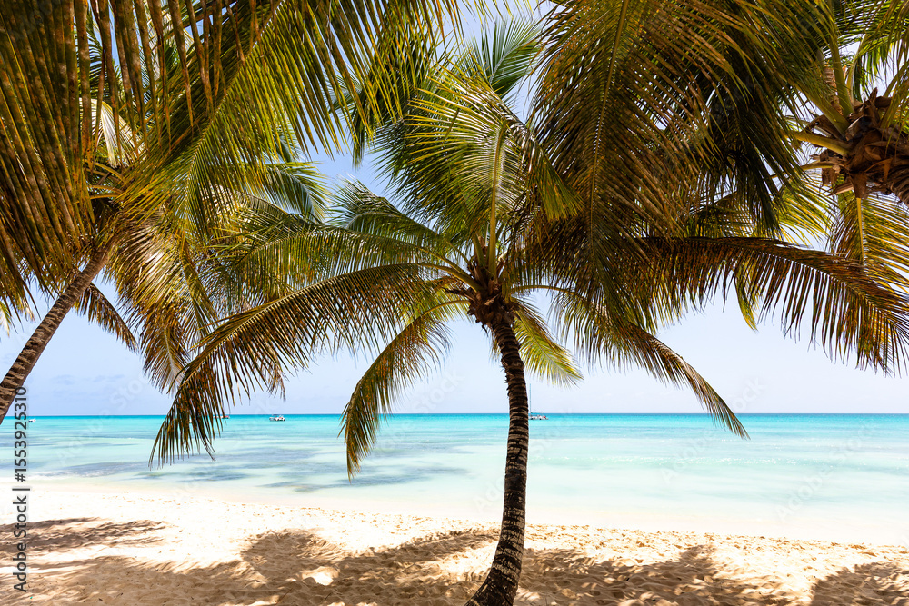 Fototapeta premium Caribbean beach scene framed by palm trees with soft white sand, turquoise ocean, and a sailboat in the distance on Saona Island, Dominican Republic.