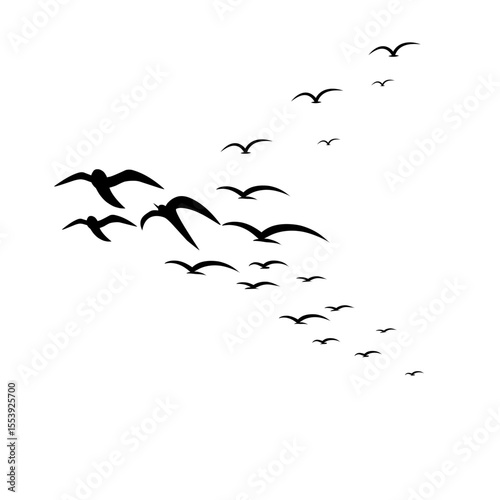 Flock of Flying Birds Silhouette Vector Set for Tattoos and Nature Art