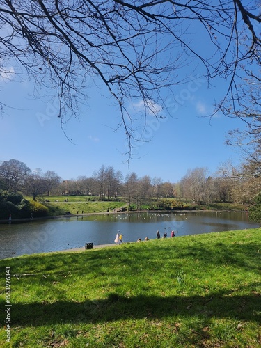 lake in the park