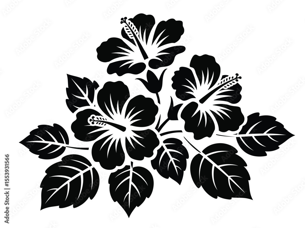 Obraz premium Black Hibiscus Flowers and Leaves Illustration on White Background