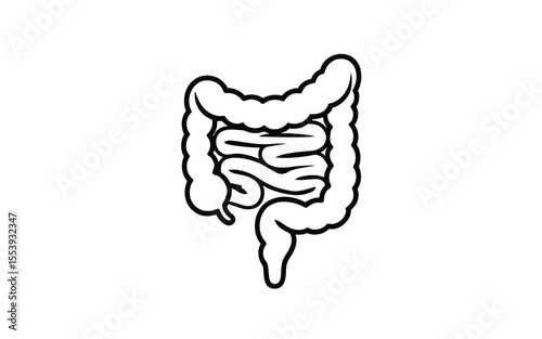 Stylized black and white line drawing of the human intestines and colon