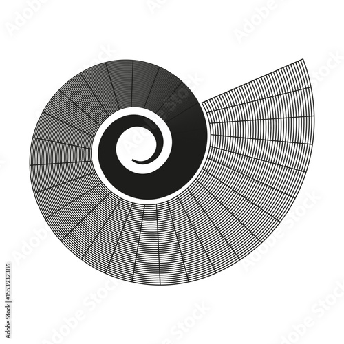 Seashell spiral shape. Conch shell outline. Nautical element Vector. Natural form illustration.